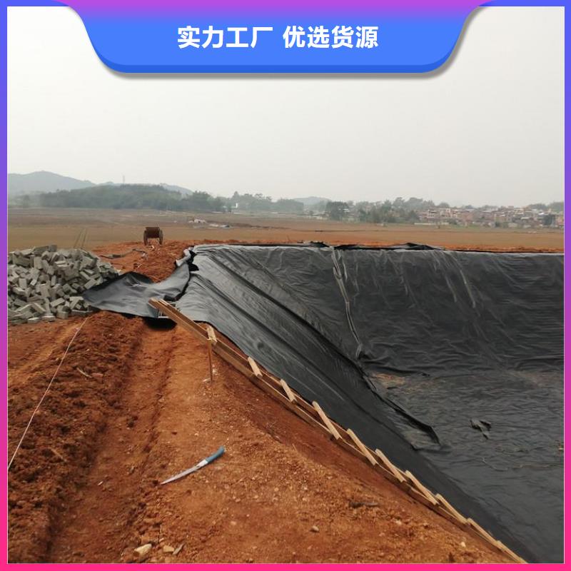 土工膜钢塑土工格栅卓越品质保障