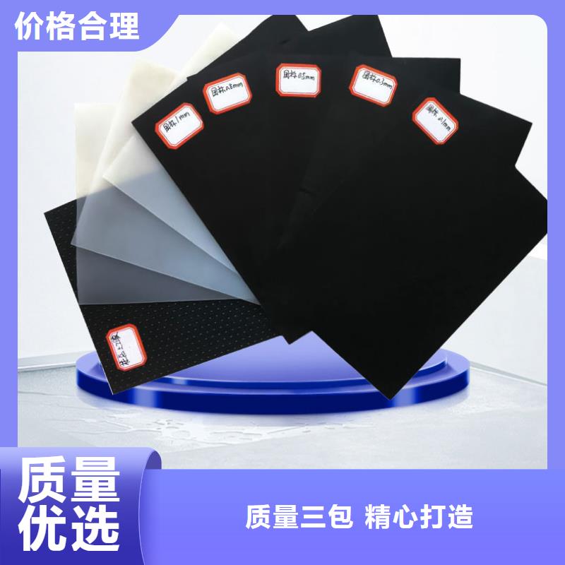 土工膜钢塑土工格栅卓越品质保障