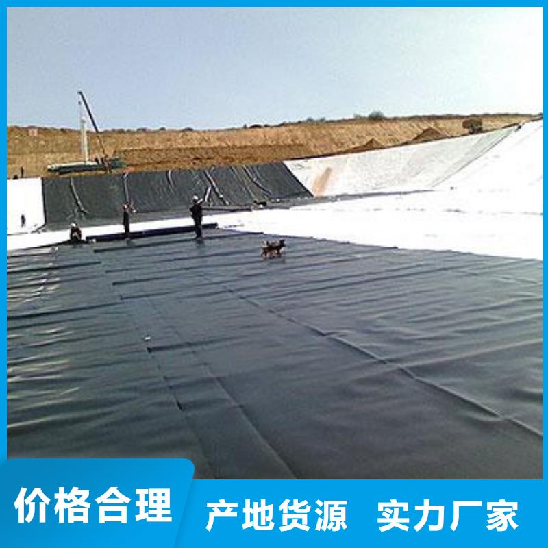 土工膜钢塑土工格栅卓越品质保障