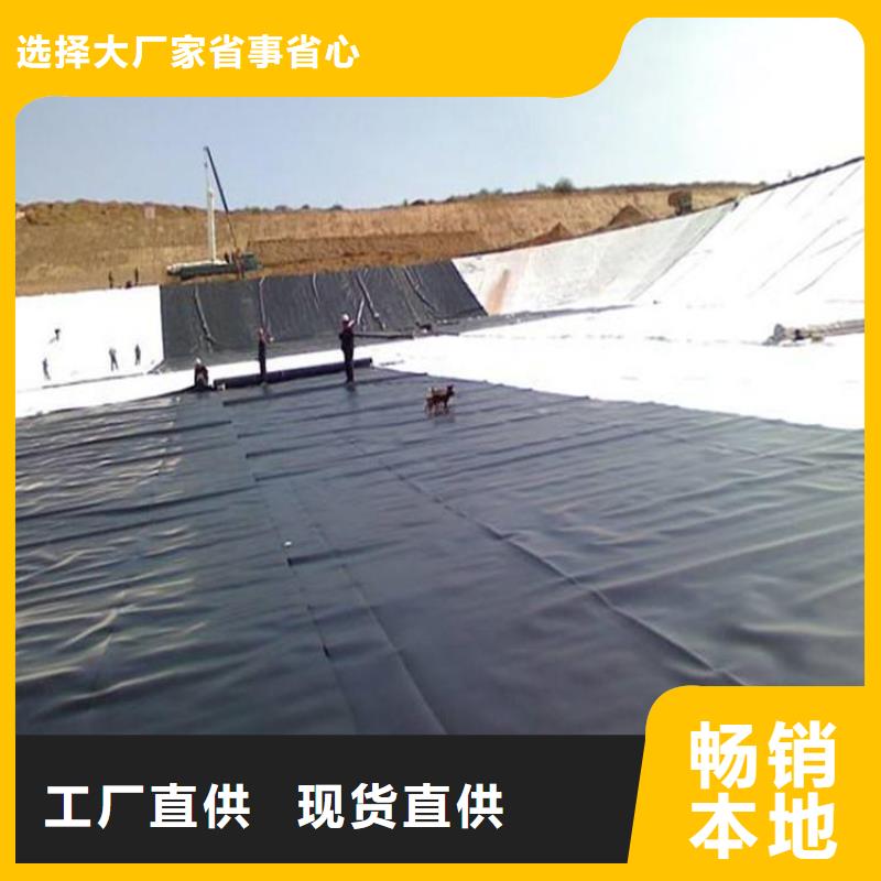 土工膜-透水土工布一个起售