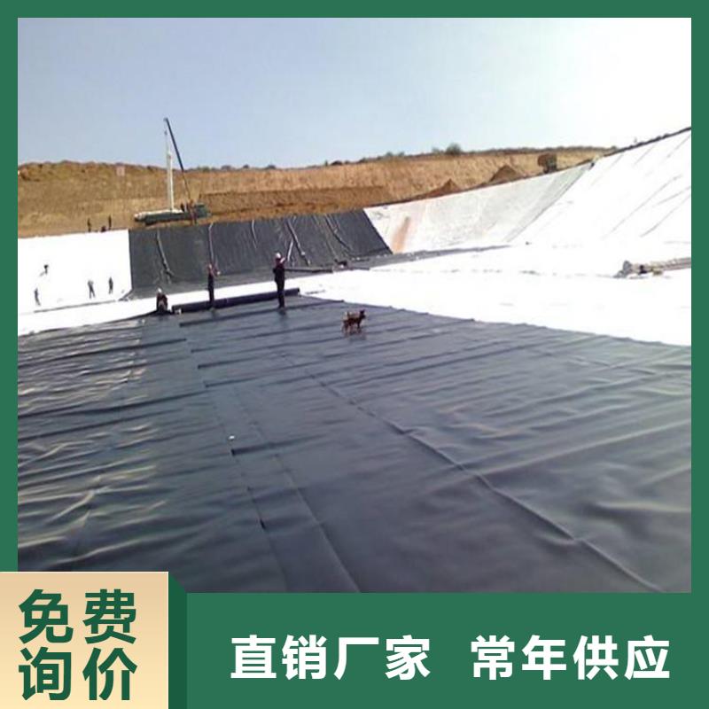 土工膜-透水土工布一个起售