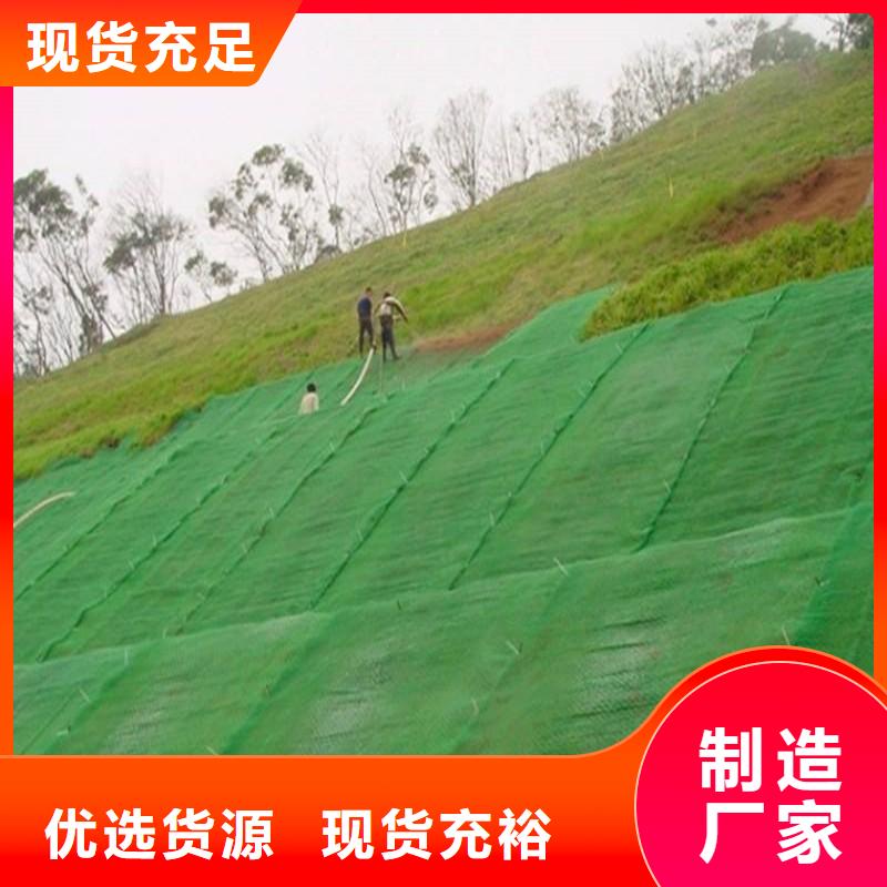 三维植被网单向塑料土工格栅定金锁价