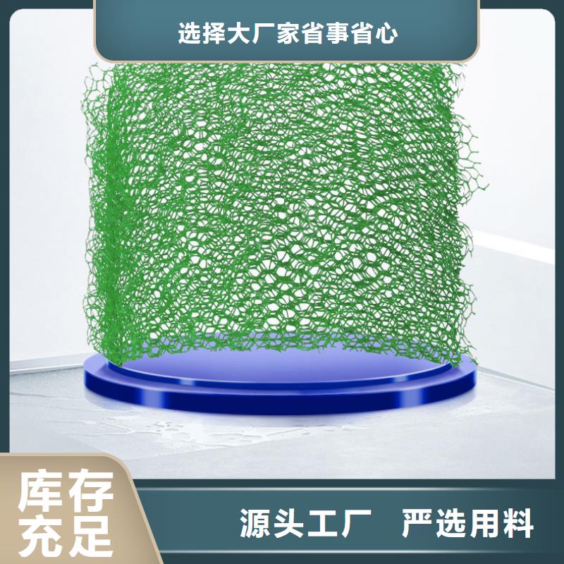 三维植被网单向塑料土工格栅定金锁价