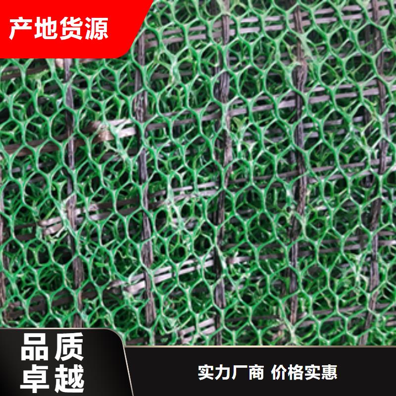 三维植被网单向塑料土工格栅定金锁价
