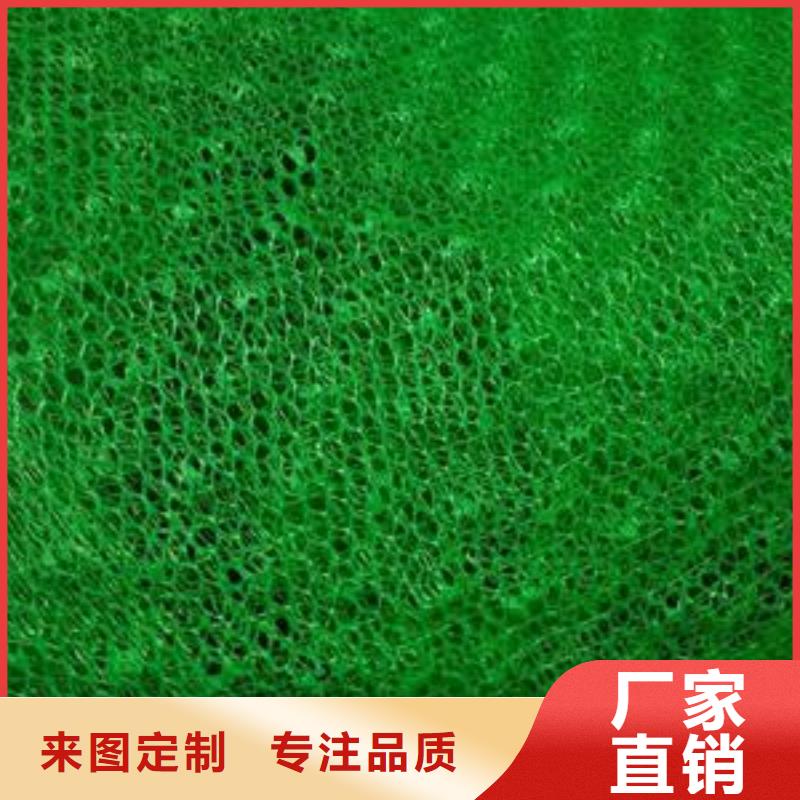 三维植被网单向塑料土工格栅定金锁价