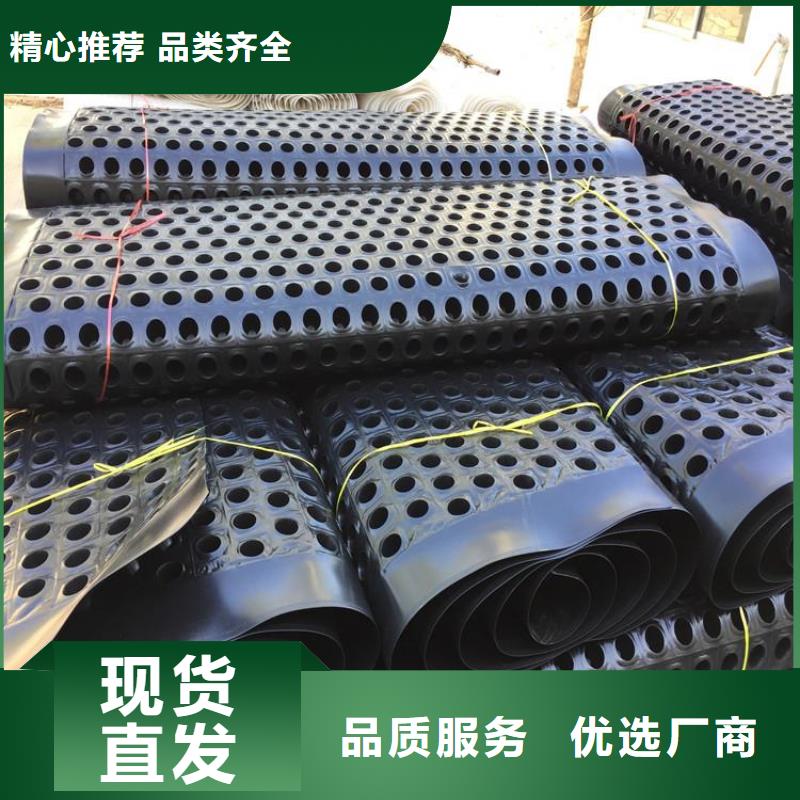 塑料排水板凸结点钢塑土工格栅敢与同行比质量