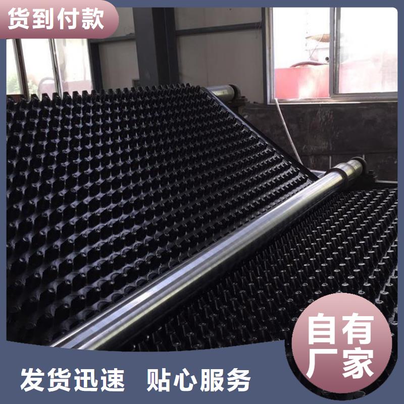 塑料排水板双向塑料土工格栅支持大批量采购