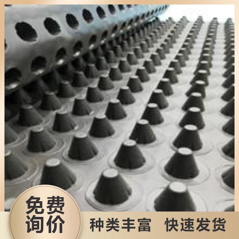 塑料排水板凸结点钢塑土工格栅敢与同行比质量