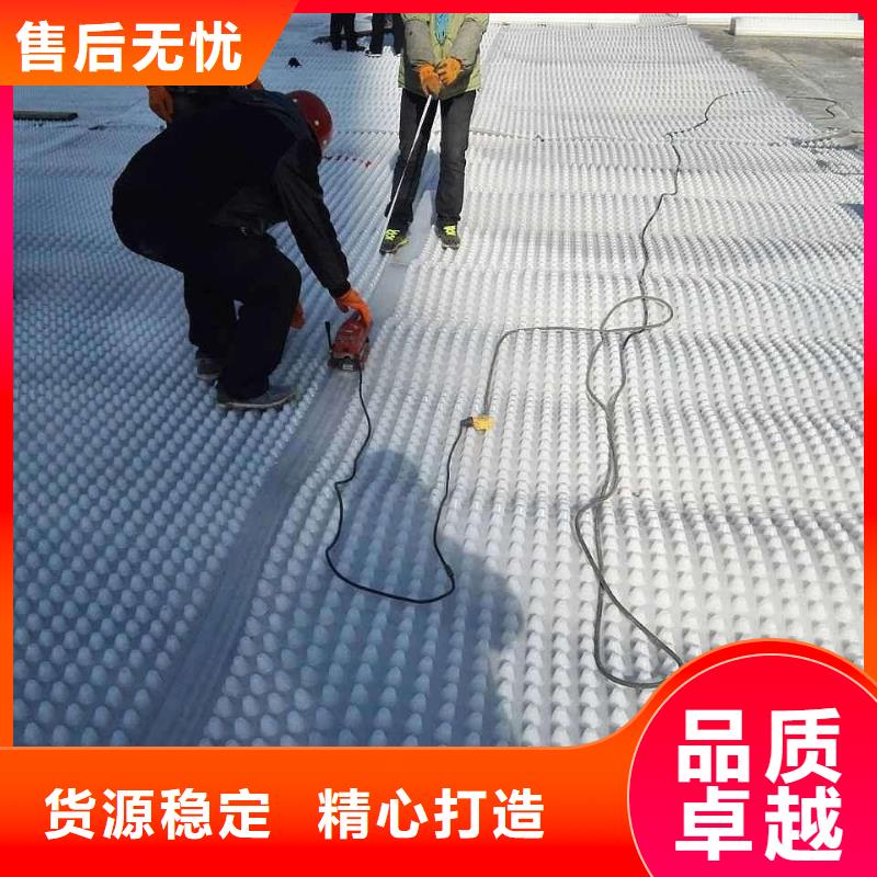 塑料排水板双向塑料土工格栅支持大批量采购
