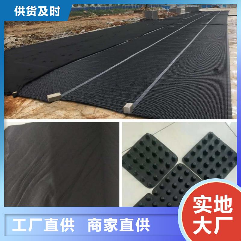 塑料排水板双向塑料土工格栅支持大批量采购