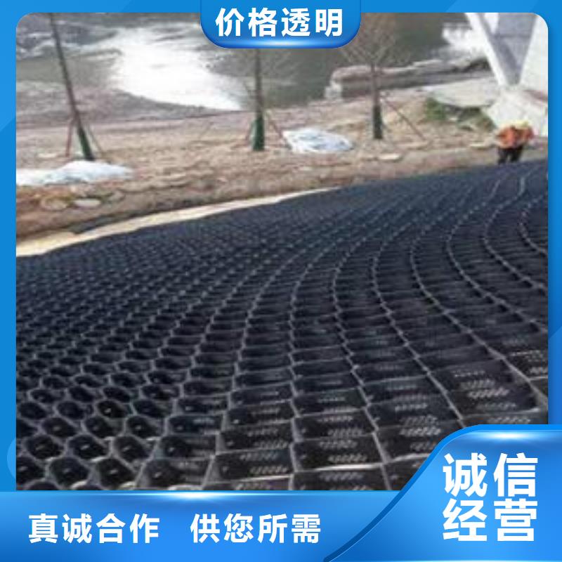 土工格室涤纶土工格栅用途广泛