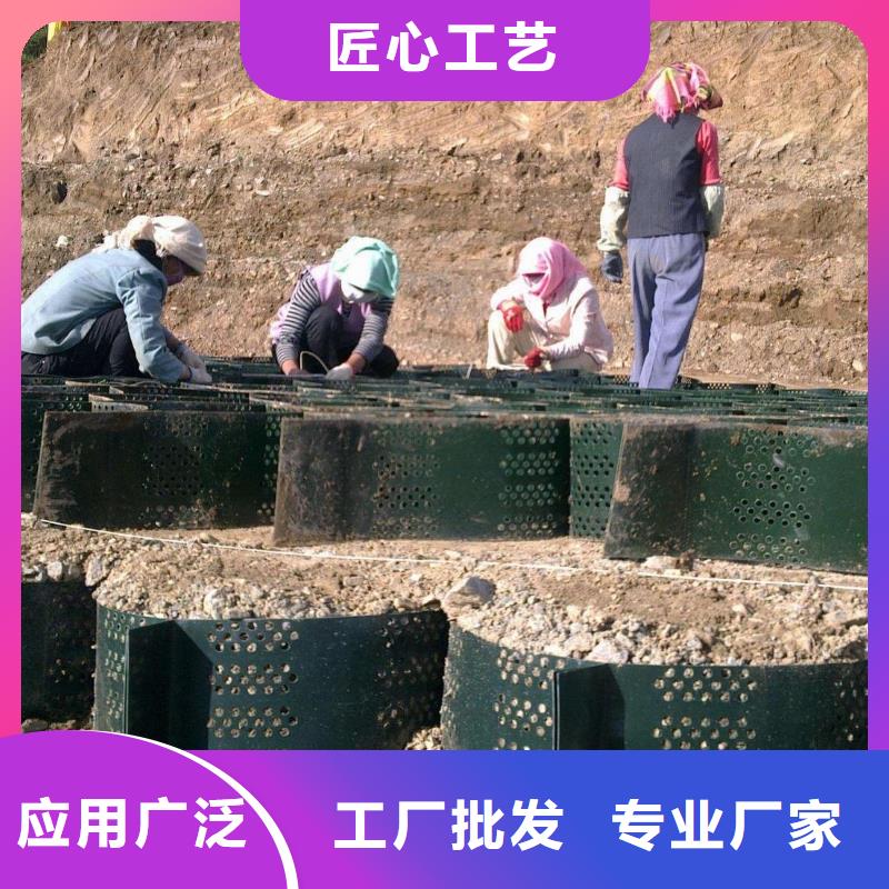 土工格室_土工HDPE膜源头工厂量大优惠