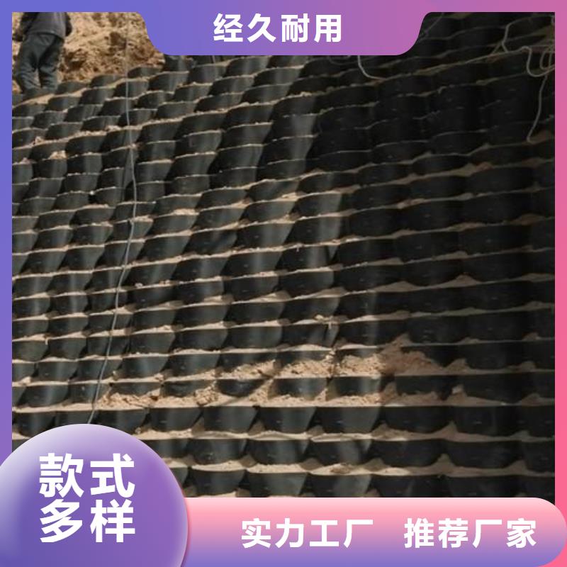 土工格室单向塑料土工格栅用心经营