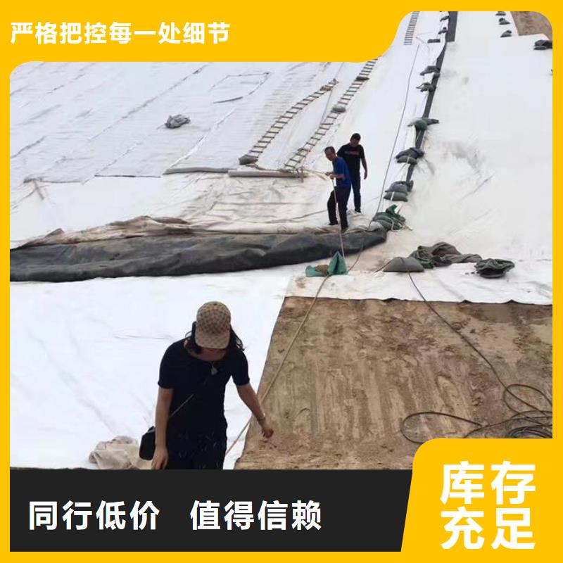三维复合排水网复合土工膜实力优品