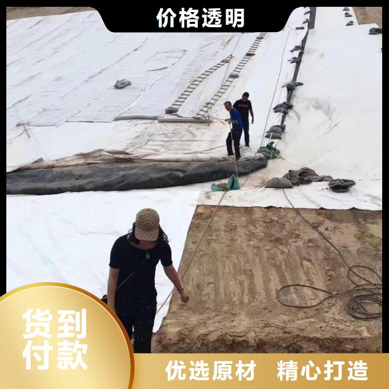 三维复合排水网【复合土工膜】量大从优