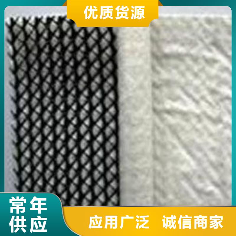 三维复合排水网复合土工膜实力优品