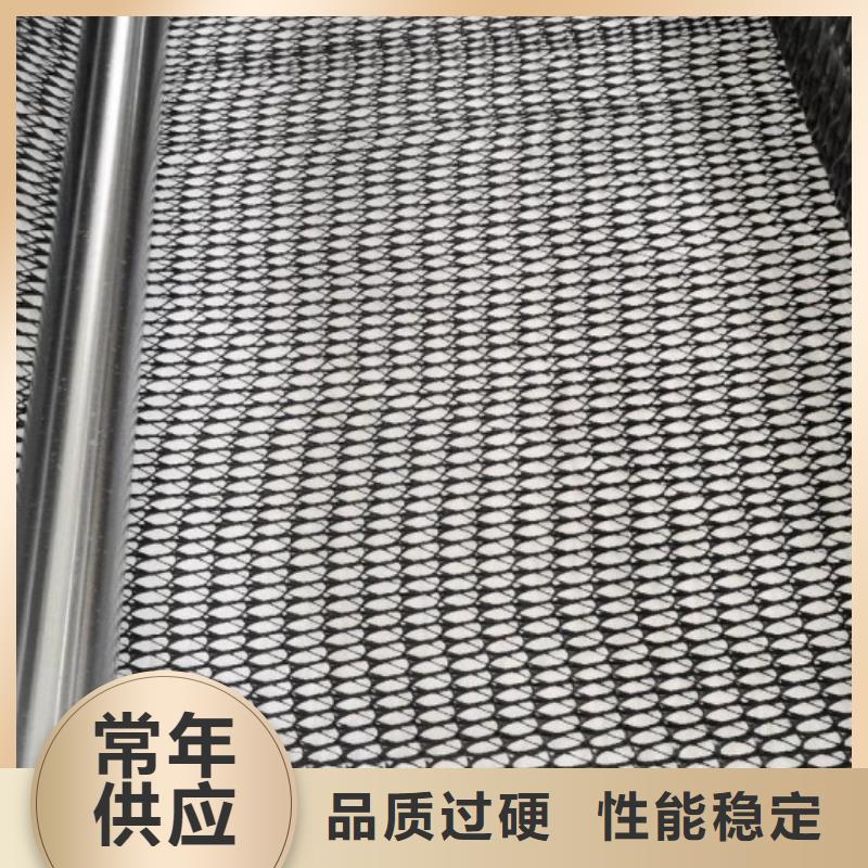 三维复合排水网【复合土工膜】量大从优