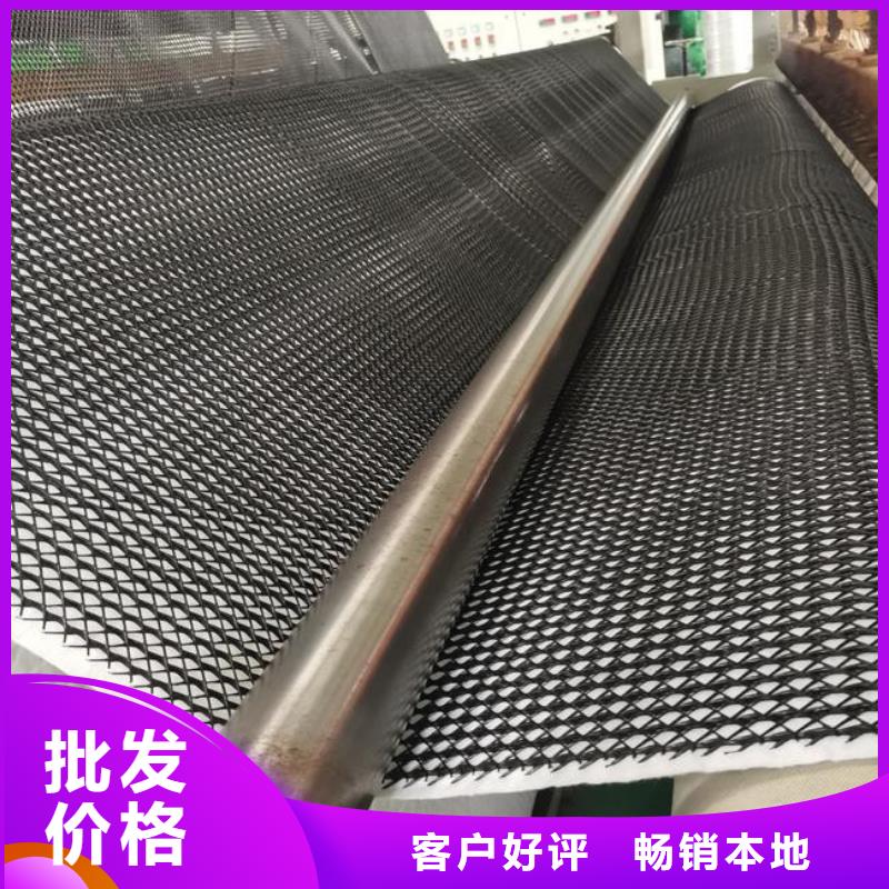 三维复合排水网【复合土工膜】量大从优