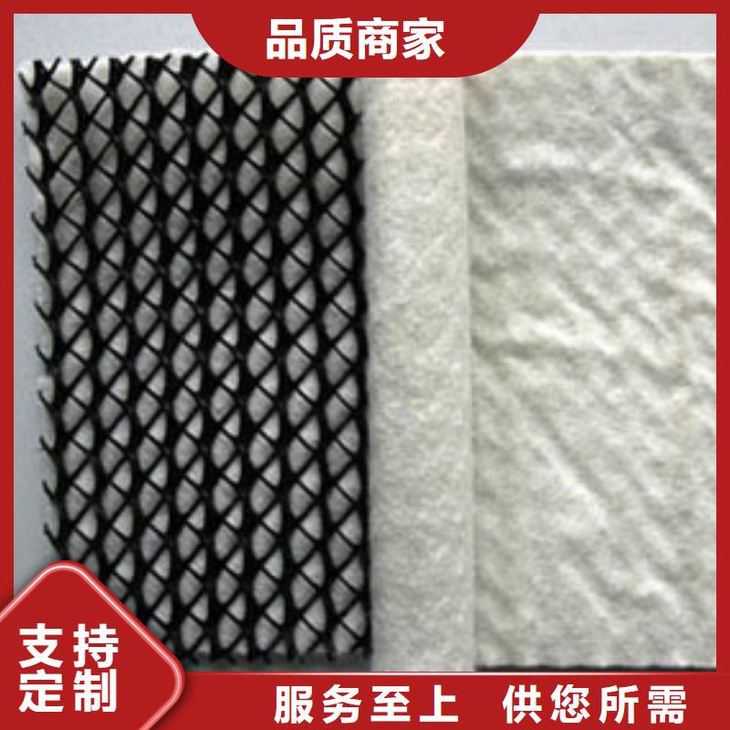 三维复合排水网复合土工膜实力优品