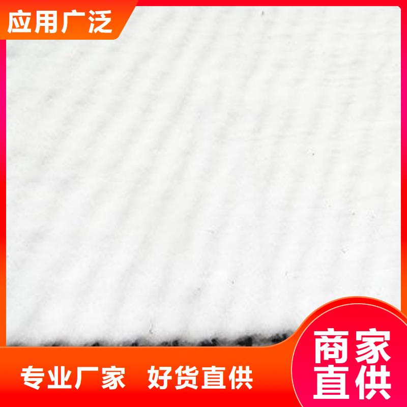 三维复合排水网工程布严格把控质量