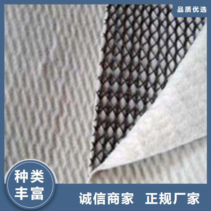 三维复合排水网工程布严格把控质量