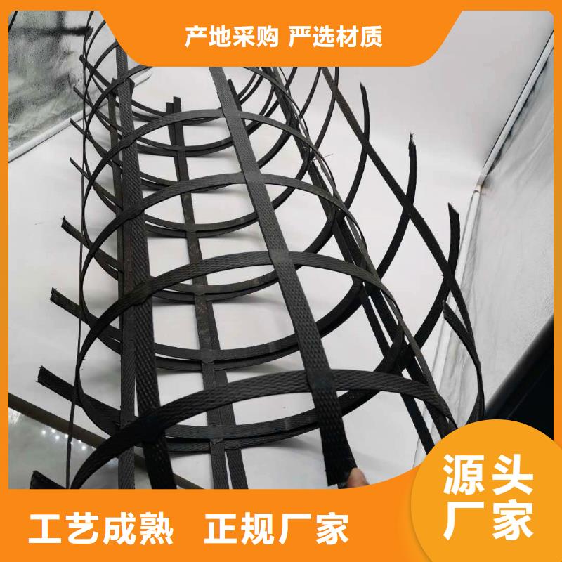 钢塑土工格栅双向塑料格栅满足您多种采购需求
