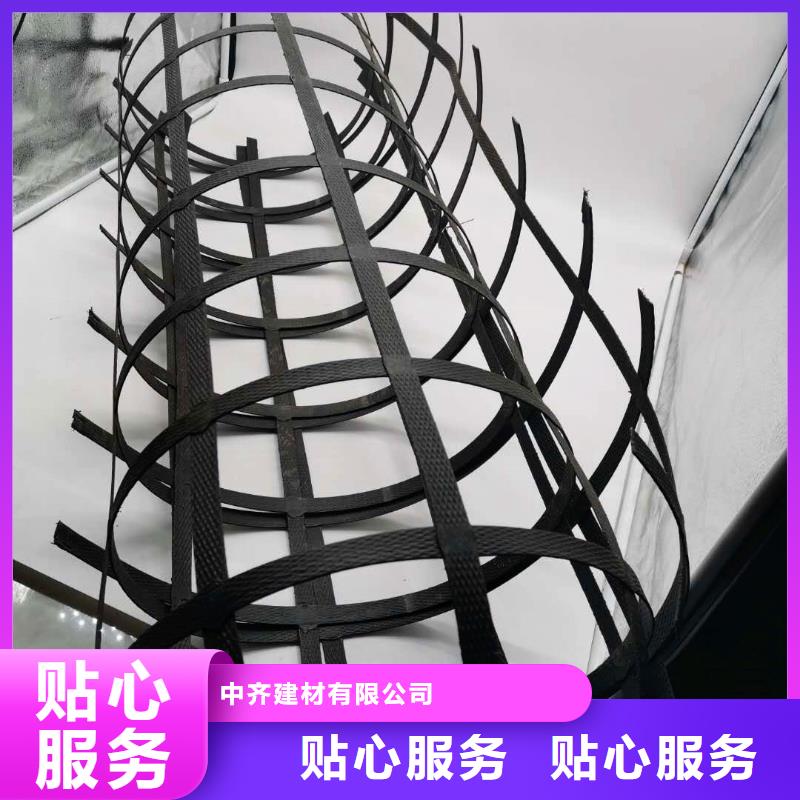 钢塑土工格栅涤纶土工格栅实体诚信经营