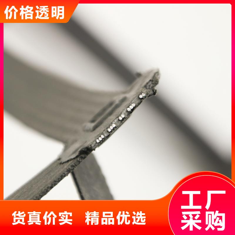 钢塑土工格栅钢塑土工格栅超产品在细节