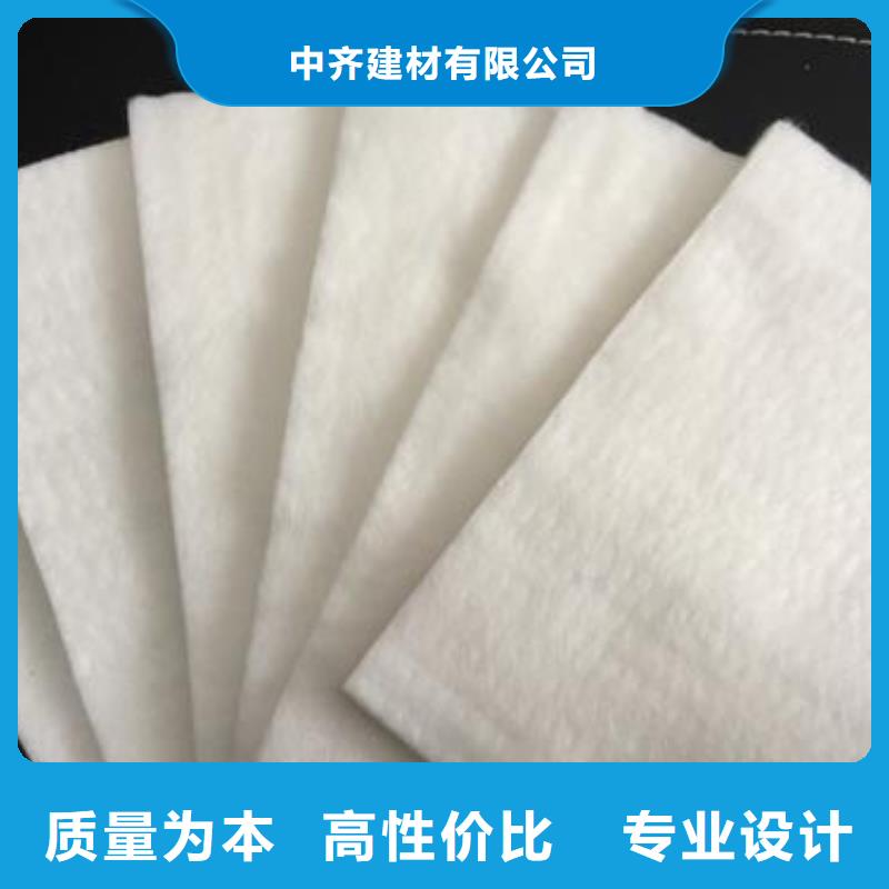 土工布凸结点钢塑土工格栅好货直销