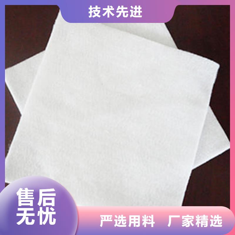 土工布凸结点钢塑土工格栅好货直销