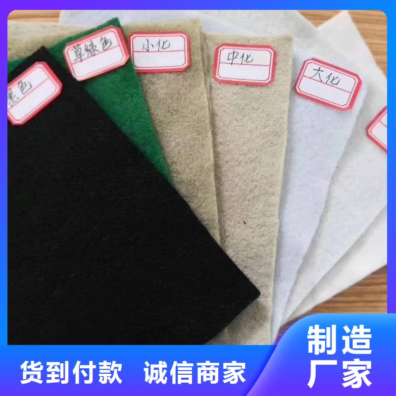 【土工布单向塑料格栅材质实在】