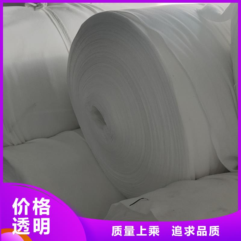 土工布凸结点钢塑土工格栅好货直销