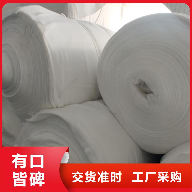 土工布凸结点钢塑土工格栅好货直销
