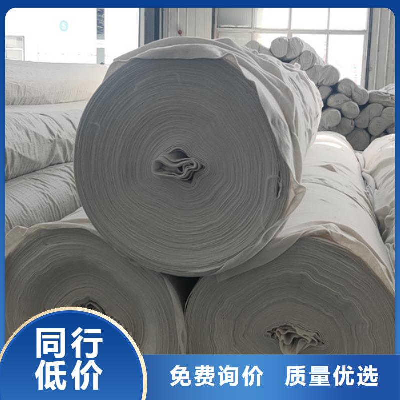 土工布凸结点钢塑土工格栅好货直销