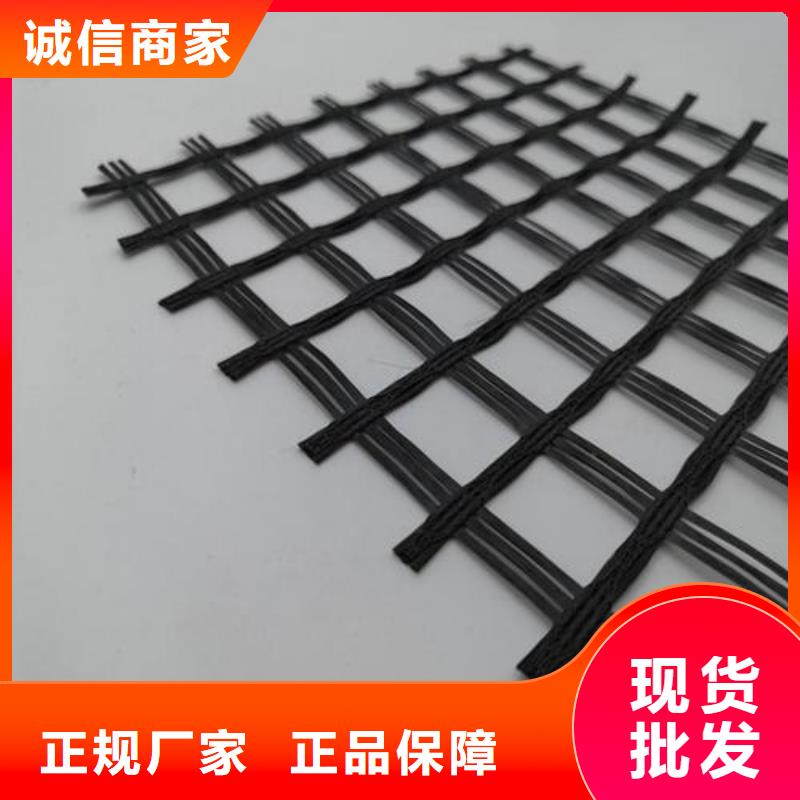 【玻纤土工格栅_钢塑土工格栅生产加工】