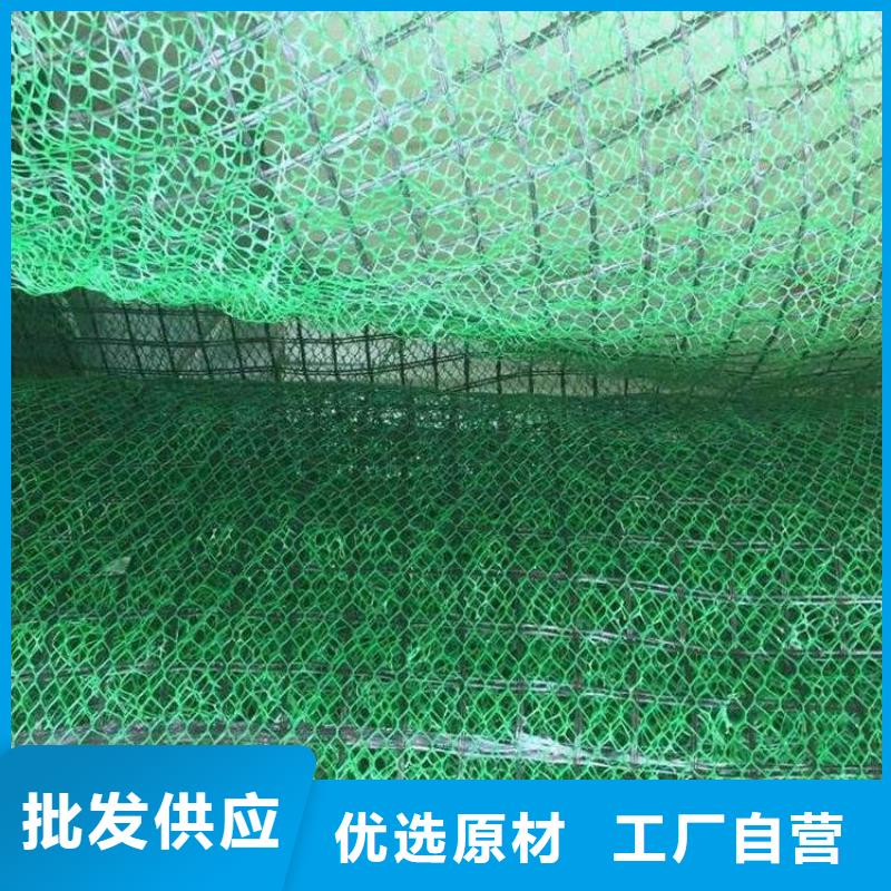 三维植被网【HDPE黑色土工膜】选择我们没错