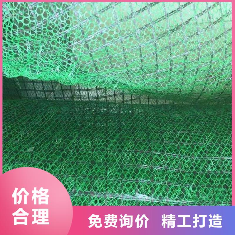 三维植被网价格实惠工厂直供