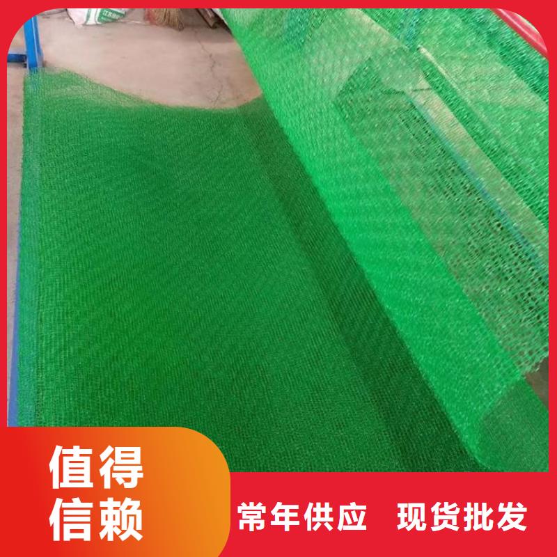 三维植被网【HDPE黑色土工膜】选择我们没错