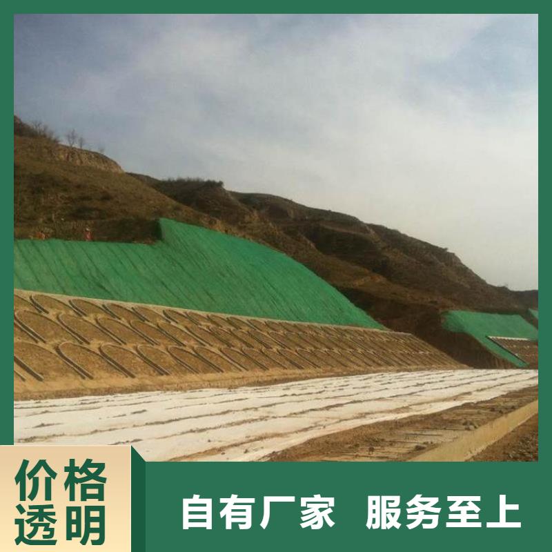 三维植被网_土工格室发货迅速