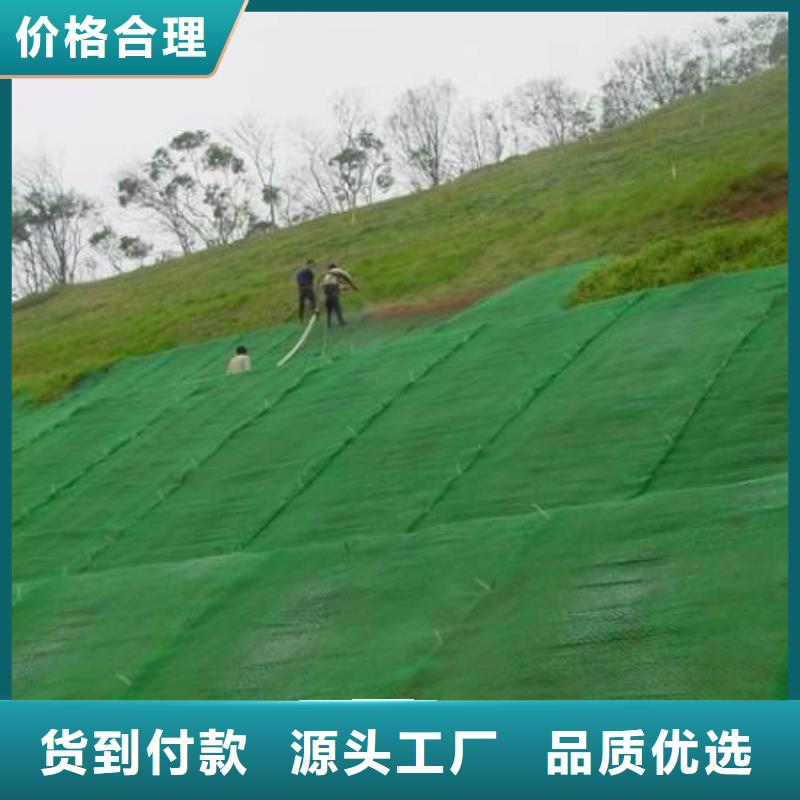 三维植被网HDPE土工膜出货快