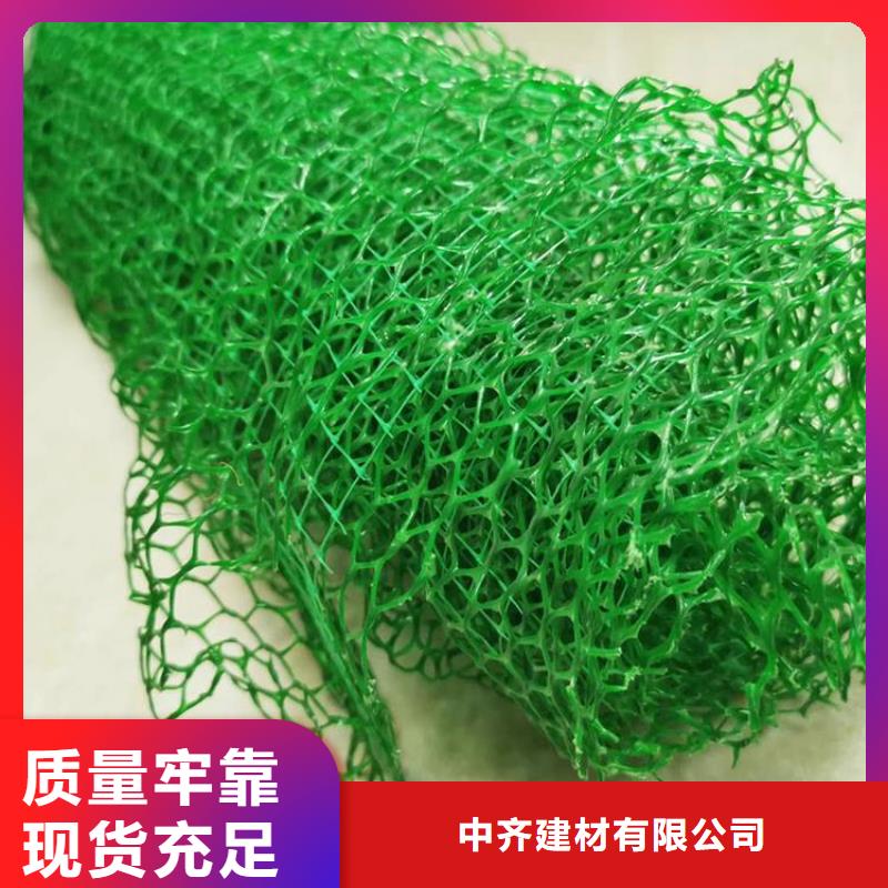 三维植被网【护坡土工网】满足客户需求