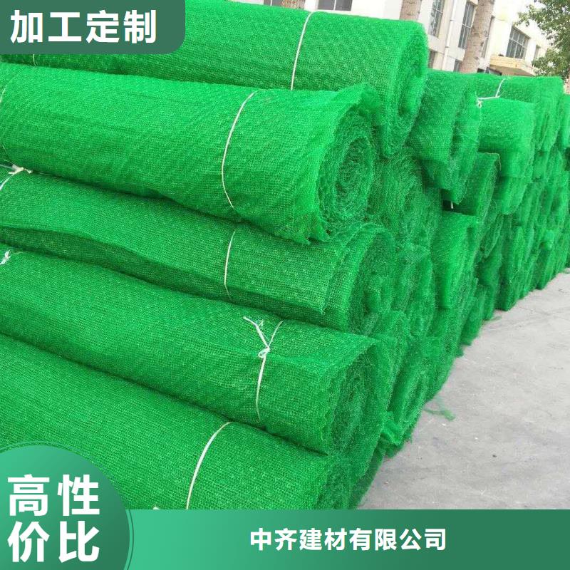 三维植被网价格实惠工厂直供
