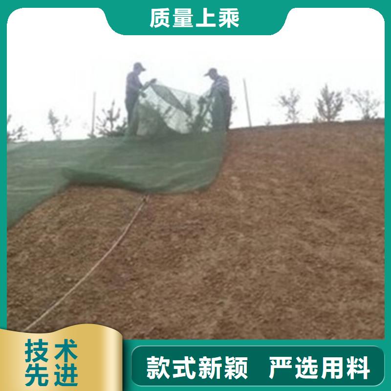 三维植被网_土工格室发货迅速