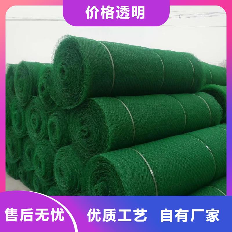 三维植被网_土工格室发货迅速
