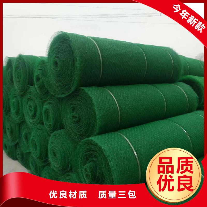 三维植被网【HDPE黑色土工膜】选择我们没错
