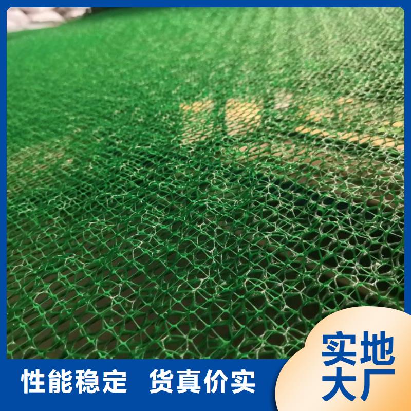 三维植被网价格实惠工厂直供