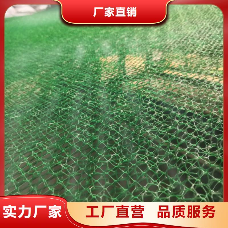 三维植被网【HDPE黑色土工膜】批发商