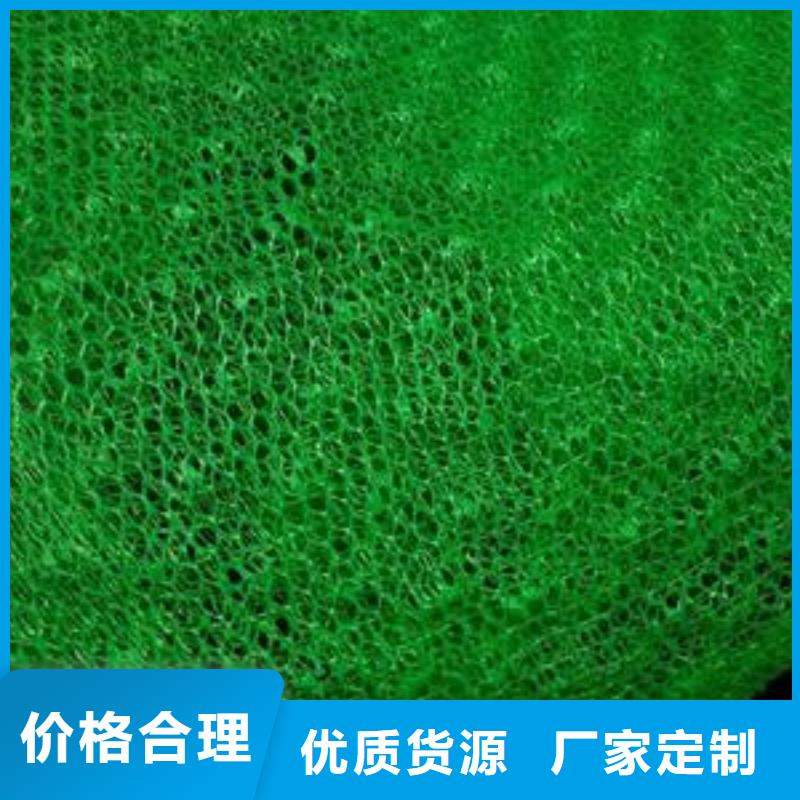 【三维植被网透水土工布品质服务诚信为本】