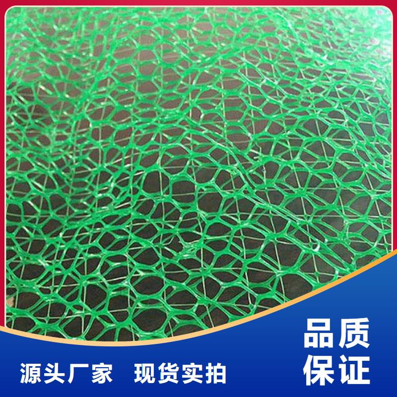 三维植被网_土工格室发货迅速