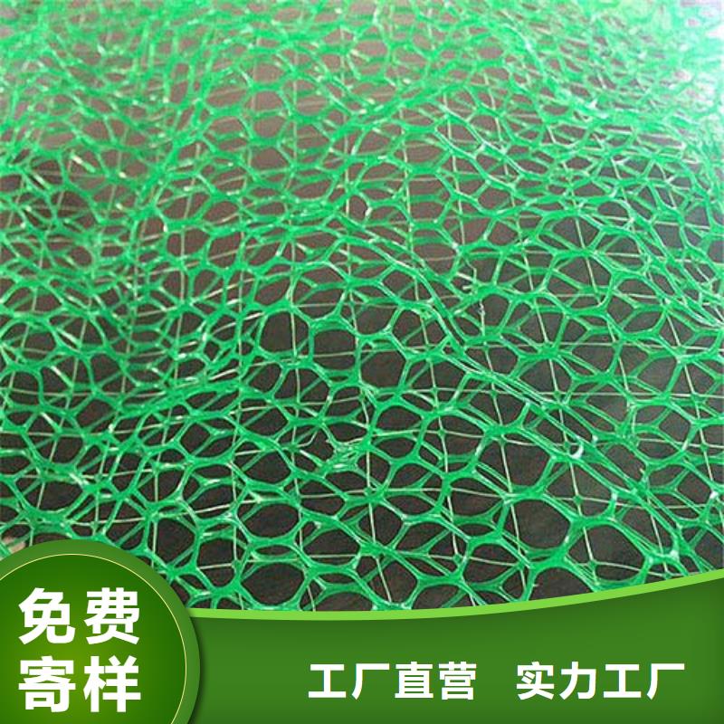三维植被网【护坡土工网】满足客户需求